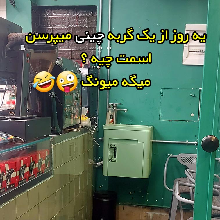 یه روز از یک گربه چینی میپرسن اسمت چیه ؟ میگه میونگ