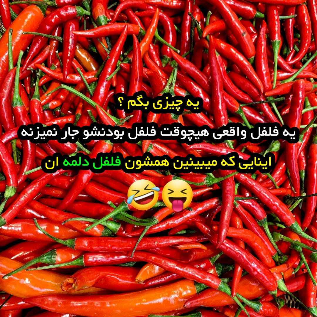 یه فلفل واقعی هیچوقت فلفل بودنشو جار نمیزنه