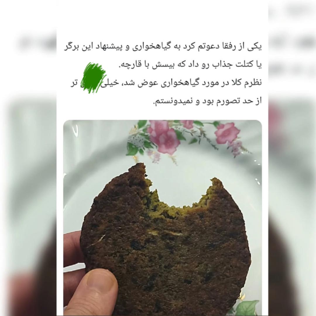 یکی از رفقا دعوتم کرد به گیاهخواری و پیشنهاد این برگر یا کتلت جذاب رو داد که بیسش با قارچه